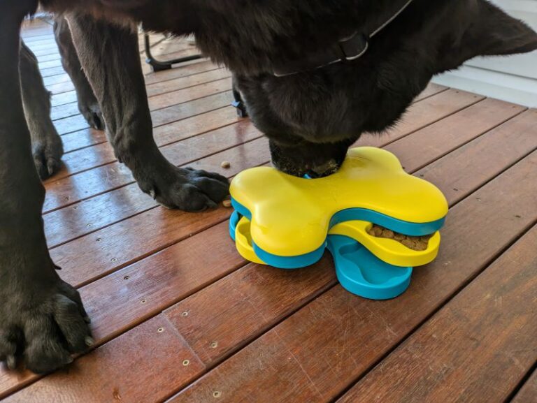 Atlas my dog using the Tornado