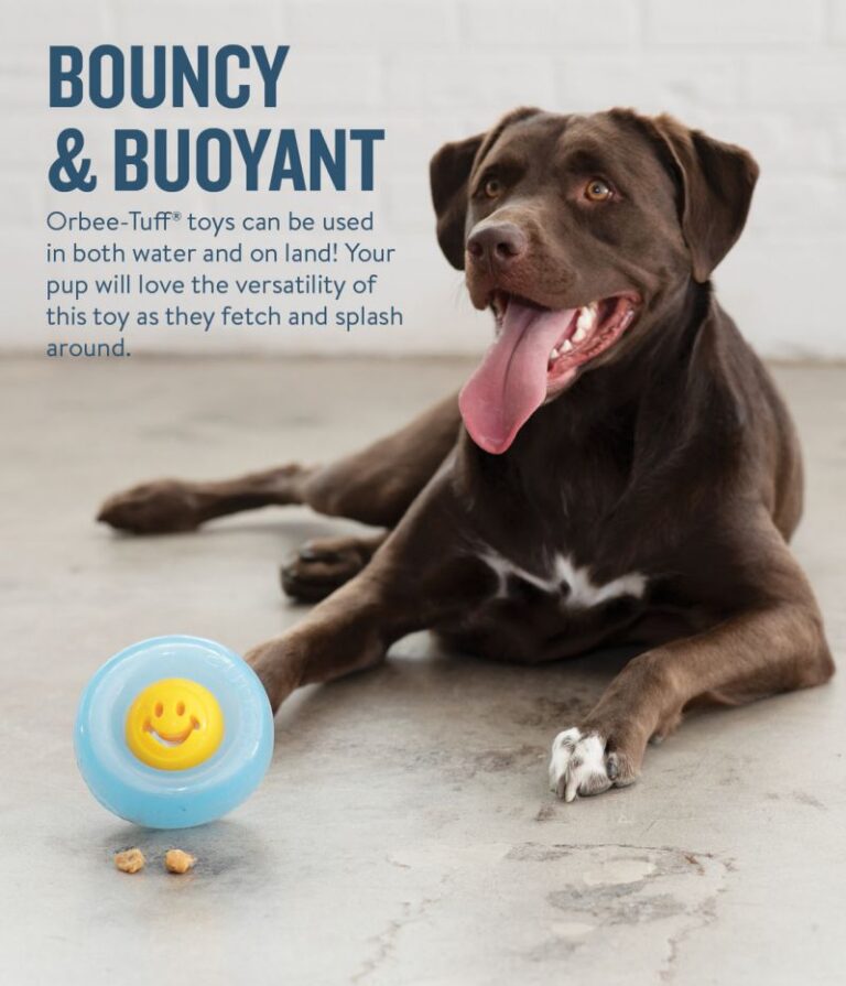 Showing how the Nook Happiness can fit into the Snoop. Each sold seperately. Bouncy & Buoyant. Orbee-Tuff toys can be used in both water and on land! Your pup will love the versatility of this toy as they fetch and splash around.