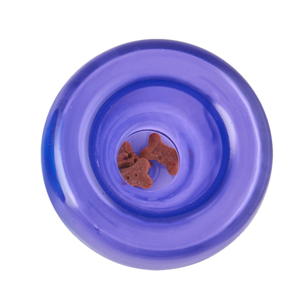 Lil Snoop in Purple
