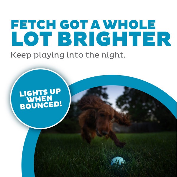 Orbee-Tuff Strobe Ball Light Up Dog Toy - Image 2