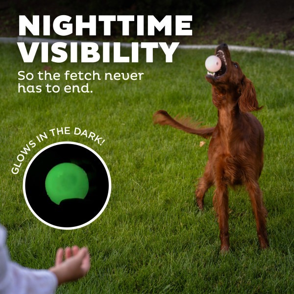 Orbee-Tuff Strobe Ball Light Up Dog Toy - Image 4