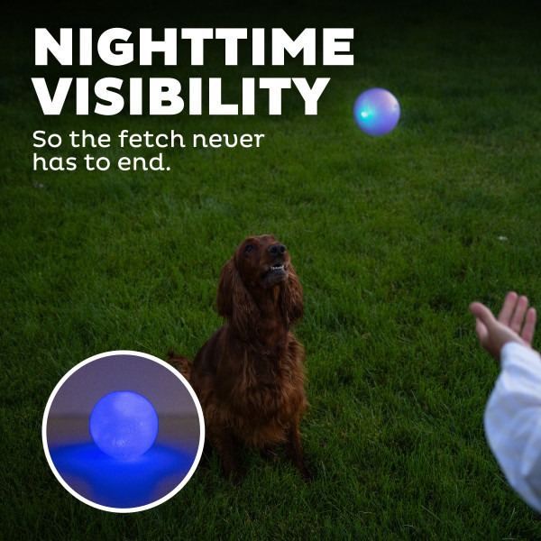 Orbee-Tuff Strobe Ball Light Up Dog Toy - Image 5