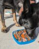 Ares using the feast mat waves from West Paw