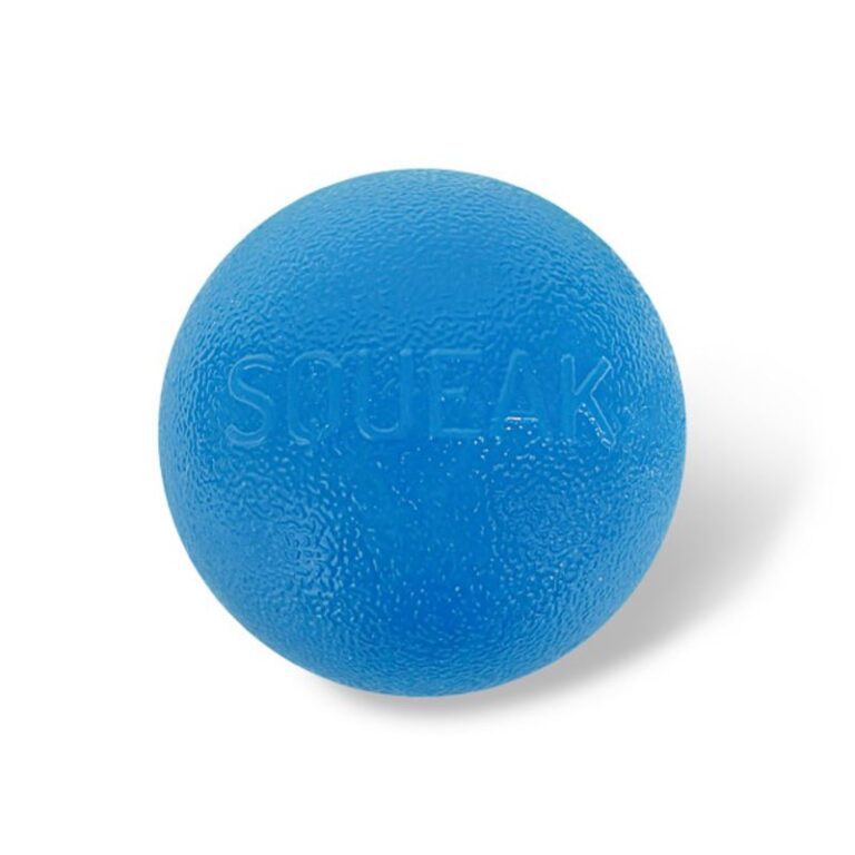 Orbee-Tuff Squeak Ball - Durable Squeak Toy - Planet Dog