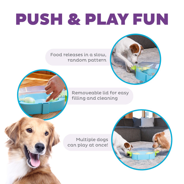 Nina Ottosson Paw N' Play Dog Puzzle - Image 3