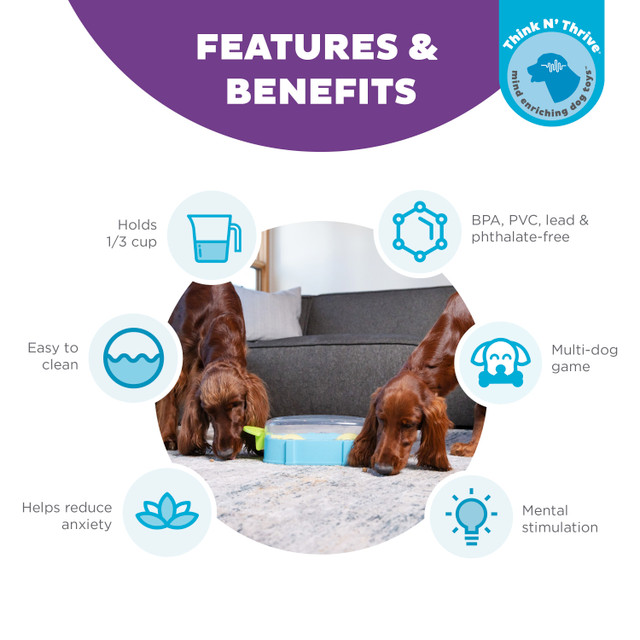 Nina Ottosson Paw N' Play Dog Puzzle - Image 4
