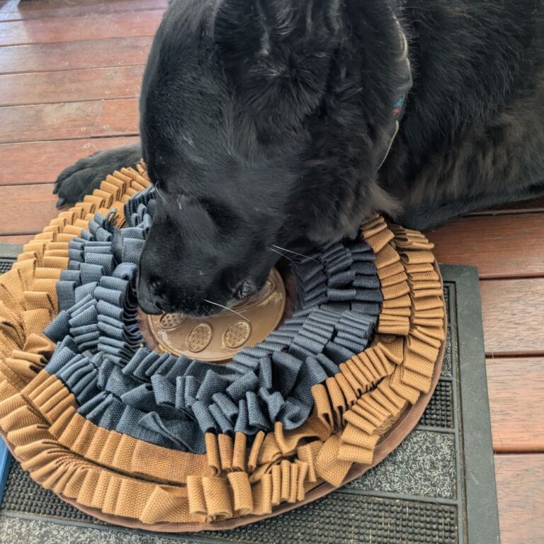 Atlas using the dual action snuffle and lick mat