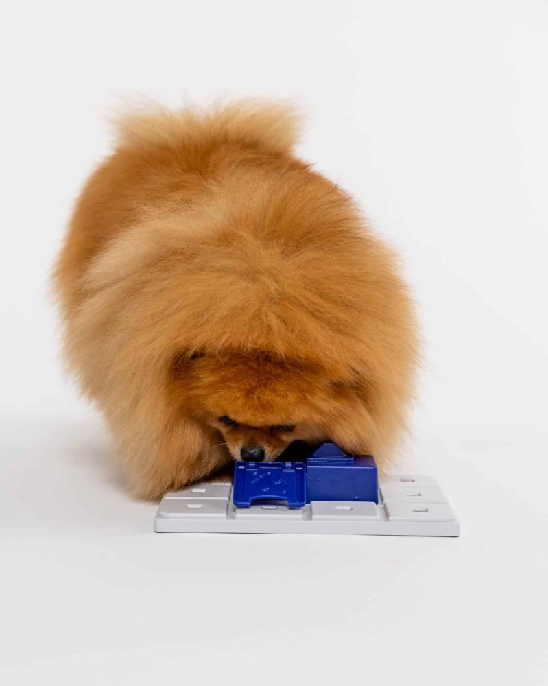 Pawzler Sela Pawzle – Level 3 Lock-and-Lift Dog Puzzle - Image 5